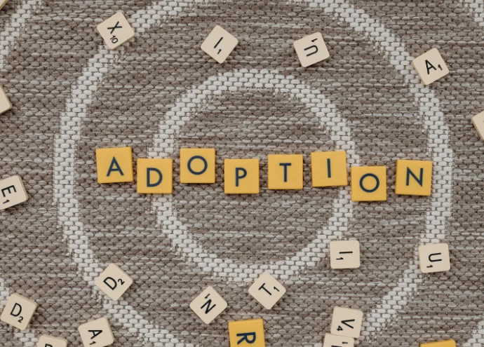How Our Process Looks Adoption & Fertility Law