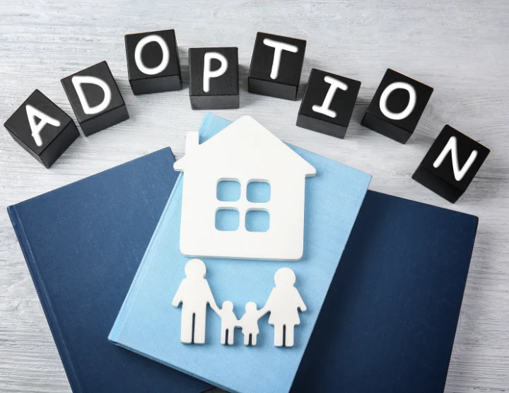 Local Adoption and Fertility Law Knowledge