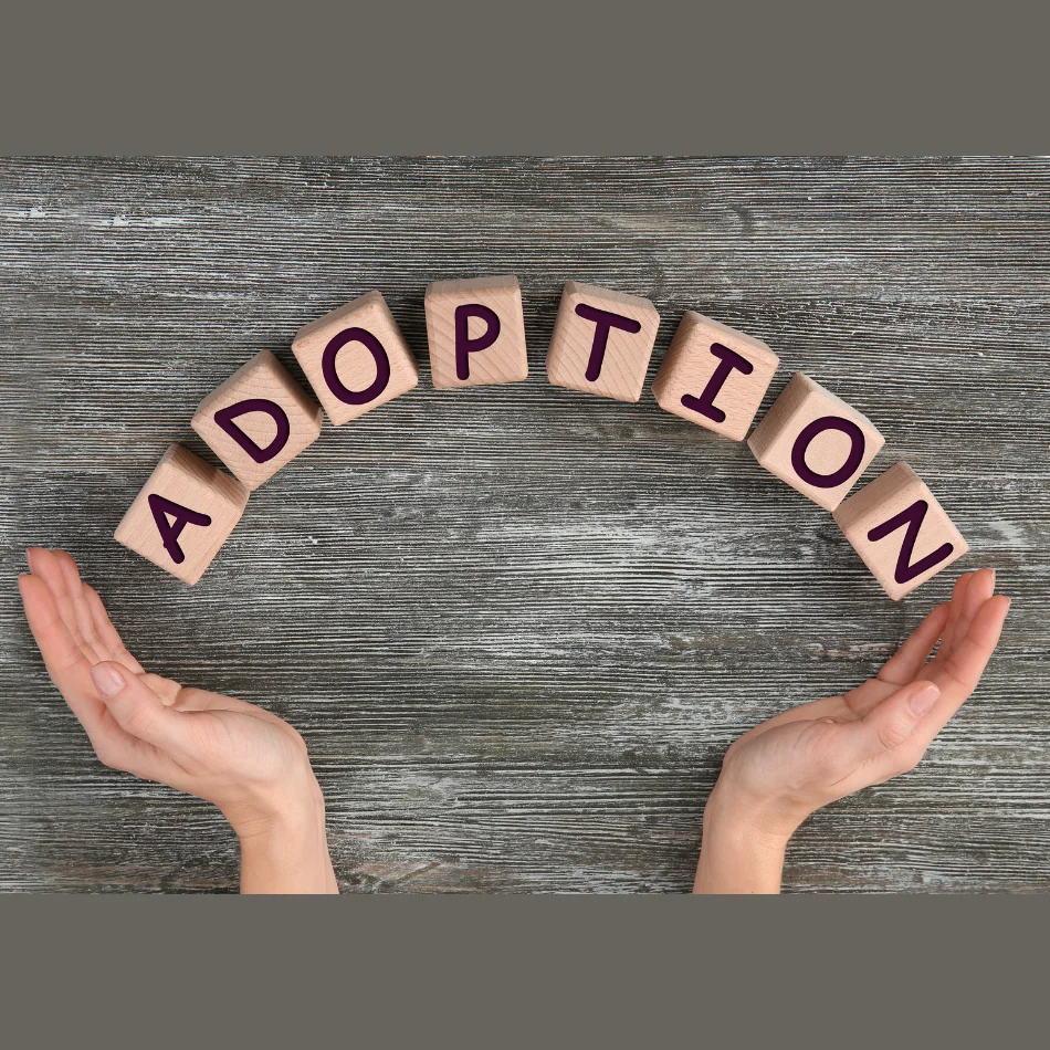 Our First Step Consultation Adoption & Fertility Law